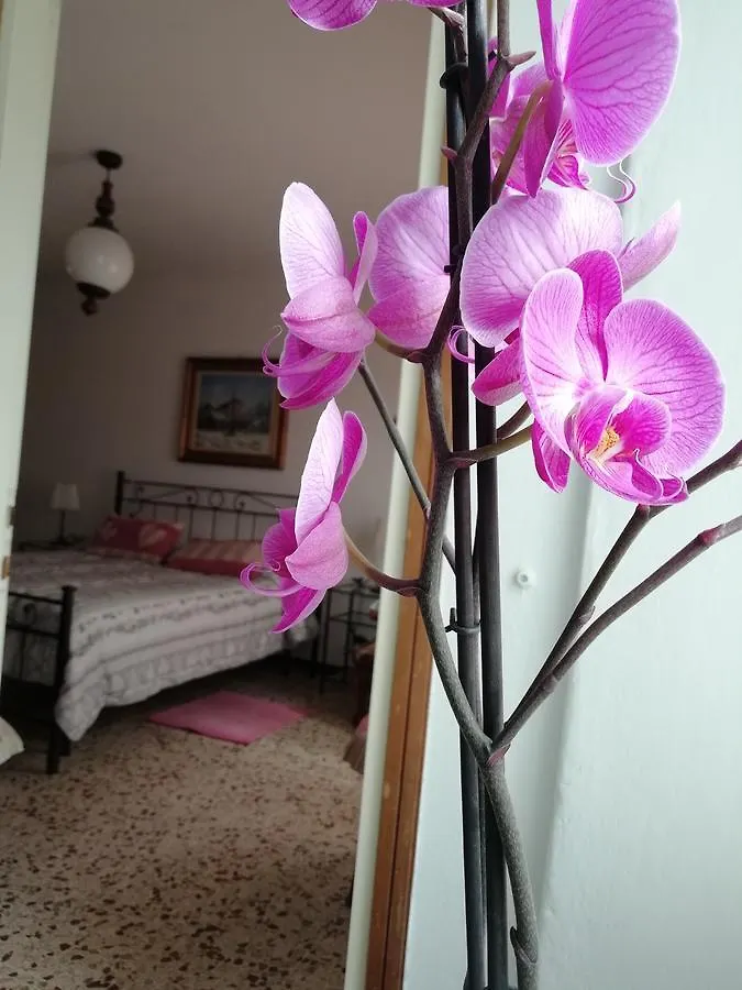 Antica Officina Apartment Mandello del Lario 0*,